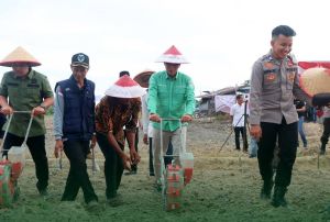  Bupati Fadhil Arief Tanam Jagung Serentak Kuartal III bersama Kapolres Batang Hari 