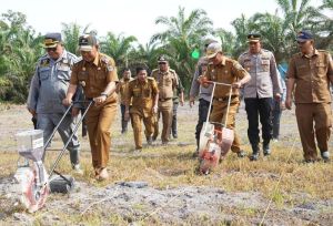 Bupati dan Unsur Forkopimda Tanam Jagung di Desa Mentawak 