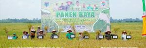 Bupati Fadhil Harap Percepatan Tanam IP-2 Menjadi Momentum untuk Meningkatkan Produksi Pertanian