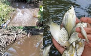 Air Sungai Berubah, PT PAJ Terancam Sanksi, Pemkab Tanjab Barat Ambil Langkah Tegas 