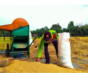  Pemkab Batang Hari Siapkan Program Pemeliharaan Jaringan Irigasi Tersier